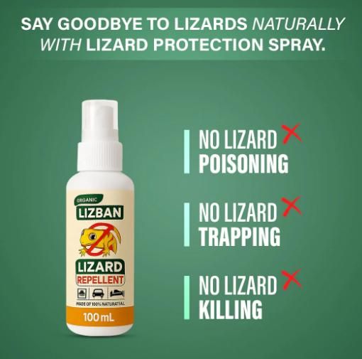 LIZARDGAURD™ - LIZARD REPELLENT SPRAY (BUY 1 GET 2 FREE) (PACK OF 3)