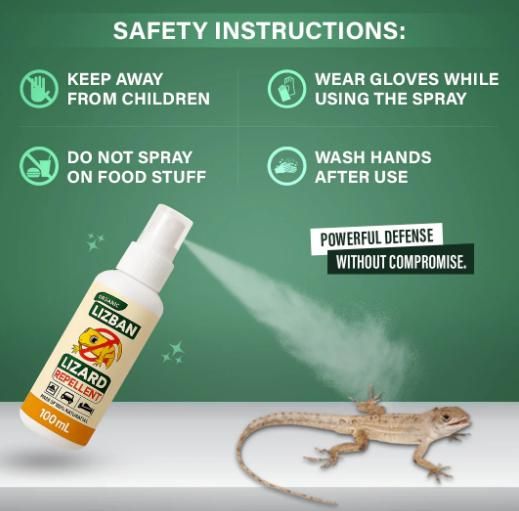 LIZARDGAURD™ - LIZARD REPELLENT SPRAY (BUY 1 GET 2 FREE) (PACK OF 3)